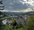 Grosszügige Baulandparzelle mit sanierungsbedürftiger Villa in attraktiver Hanglage in Bottmingen