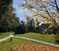 pathway in garden, grass, trees, fallen leaves, building
