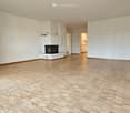 wooden floor, white walls, fireplace, doors, windows