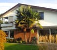 White and red brick house, two stories, balcony on the second floor, palm trees in front of the house, garden with colorful flowers