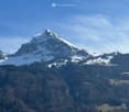 mountain with snow, dense forest, clear sky