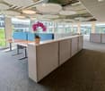 Modern office space with large windows, grey carpet, white cabinets, and a potted orchid on a table.