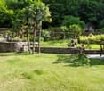 stone walls, palm trees, well manicured lawn, garden with flowering plants, small structure in the background