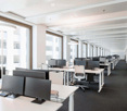 Multiple desks with computer monitors, large windows, lamps, carpeted floor, glass walls
