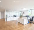 modern office, wooden floor, glass walls, white cabinets, desk, computer, plants, clock
