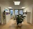 modern office with white walls, wooden floor, large windows, plants, office furniture