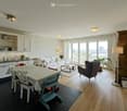 Open plan living room and dining area with large windows, white kitchen, dining table, couch, armchair, coffee table, floor lamp, rug, potted plant