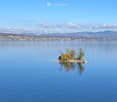 A small island in the middle of a lake with a few trees and a boat docked on the shore.