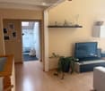 Furnished Room. A modern living room with light wooden flooring, a sofa, a television on a stand, a plant, a shelf with decorative items, and framed pictures on the wall. A hallway leads to a bathroom with a toilet and a bag on the floor.