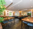 Furnished Room. Restaurant interior with multiple wooden tables and chairs, a large mirror, and decorative plants.