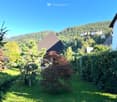 A well-maintained garden with various trees and shrubs, featuring a clear view of a forested hill and distant houses.