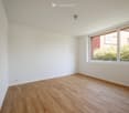 Empty room with light wooden flooring, white walls, and a large window offering a view of greenery outside.
