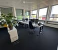 An empty office with two desks, chairs, and a plant. The office has large windows and a white ceiling.