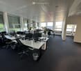 modern office with white walls, black carpet, large windows, office desks, computer monitors, plants, trash bins