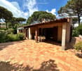 Outdoor patio area with terracotta tiles, a small covered seating area with a table and chairs, surrounded by trees and greenery.