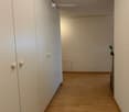 Corridor / Hallway. A narrow hallway with wooden flooring, white walls, and built-in white cabinets on one side. The ceiling features a modern light fixture with multiple bulbs.