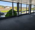 Empty room with large windows, carpeted floor, and a view of the outside area with parked cars and greenery.