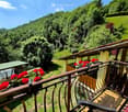 Balcony with wooden decking, metal railing, and potted red flowers, overlooking a lush green valley with trees and hills.