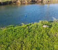 A serene outdoor area featuring a calm body of water surrounded by lush green grass and vegetation, with a small blue buoy floating in the water.