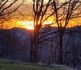 A serene outdoor scene with bare trees and a frosty ground, featuring a warm sunset view through the branches.