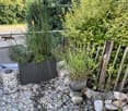 Garden area with a wooden fence, potted plants, and decorative rocks arranged on a gravel surface.