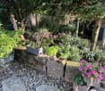 A well-maintained garden with various potted plants, including herbs and flowering shrubs, arranged on stone walls and surfaces. The garden features a gravel pathway and is surrounded by trees and a wooden fence.