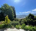 A lush garden with various trees and shrubs, overlooking a scenic mountain landscape under a clear blue sky.