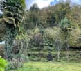 A lush garden area with dense vegetation, including palm trees, shrubs, and a grassy lawn. A small set of stone steps leads up to a more densely wooded area.