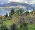 Garden with palm trees and shrubs overlooking a lake and distant mountains.