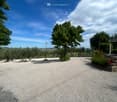 Gravel driveway surrounded by trees and greenery, with a clear blue sky and distant hills.
