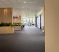 Modern office space with grey carpet, large windows, and a small seating area with a chair, table, and plants.