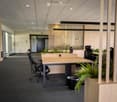 Modern office space with a wooden desk, ergonomic chairs, plants, and a trash can. The area features a grey carpeted floor, white walls, and a glass partition with vertical wooden slats.