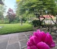 Well-maintained garden with a stone pathway, lush greenery, and a vibrant pink flower in the foreground.