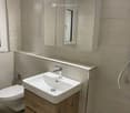 Bathroom with white sink, wooden cabinet, white toilet, mirror, and shower head