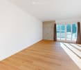 Open plan room with white walls, wooden floor, sliding glass doors, and fireplace