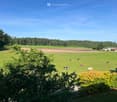A wide green field with cows grazing, surrounded by trees and a small farm building in the background.