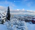 Snow-covered residential area with houses, trees, and a view of a body of water in the background.