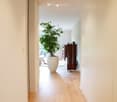 A modern hallway with light wooden flooring, white walls, and a large potted plant in the background. The hallway leads to another room with a speaker system and a dark wooden cabinet visible.