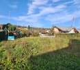 Empty field with sign board, green bushes, flag, trees, surrounding houses