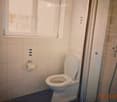 Bathroom with a toilet, toilet paper holder, and a shower area with a handheld showerhead.