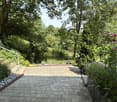 brick pathway, plants, trees, shrubs, flowers, handrail