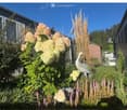 Well-maintained garden with various flowering plants, including hydrangeas and tall grasses, and a decorative bird sculpture.