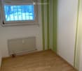 Empty room with wooden flooring, white walls, green accent striping, a window with blinds, and a radiator below the window.