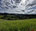 A panoramic view of a lush green field with scattered trees, distant hills, and a partly cloudy sky. Small houses and structures are visible in the distance.