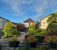 Balcony with potted plants overlooking a residential neighborhood with houses, trees, and parked cars.