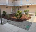 Courtyard with small palm trees, gravel, and a raised balcony level above.