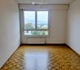 Empty room with wooden parquet flooring, white walls, large window offering a view, and a radiator below the window.