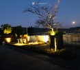 Outdoor area with a tree, plants, and a fountain, illuminated by yellow lights, wooden deck, and a chair