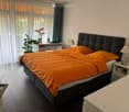 Modern bedroom with a large bed, orange bedding, nightstand with lamp, desk with chair, and a potted plant near the window.