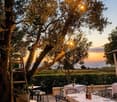 An outdoor dining area with tables and chairs set under trees, overlooking a scenic view of the sea and landscape.
